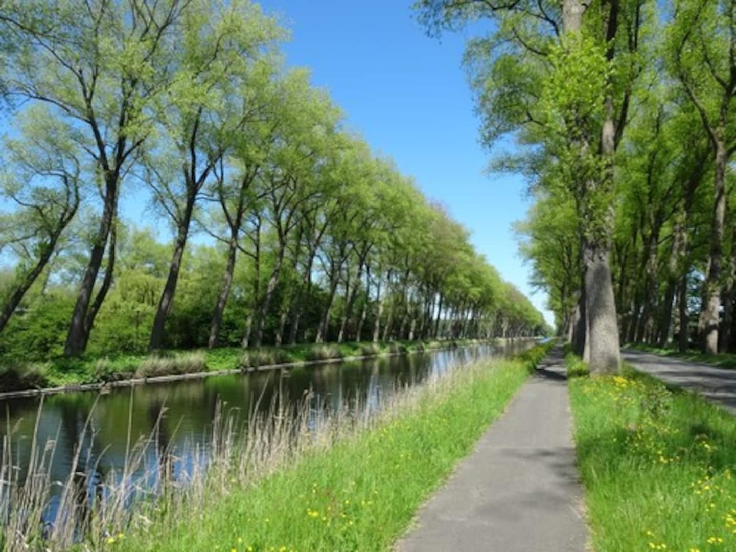 El Damse Vaart con sus álamos reflejados en el agua